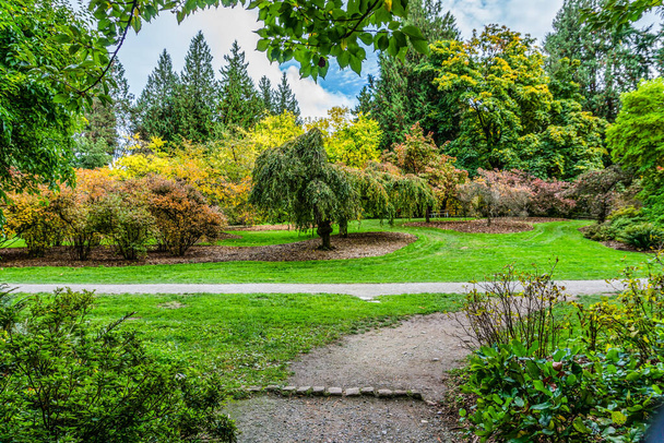 A path at the Wasington Park Arboretum in Seatle. It is the fall season. - 写真・画像