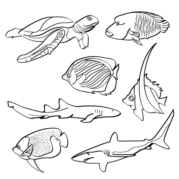 魚類コレクション - ベクター画像