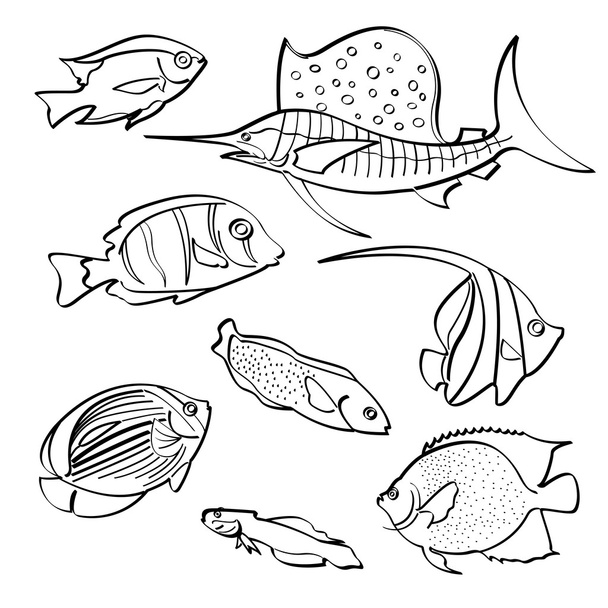 Collezione di pesci
 - Vettoriali, immagini
