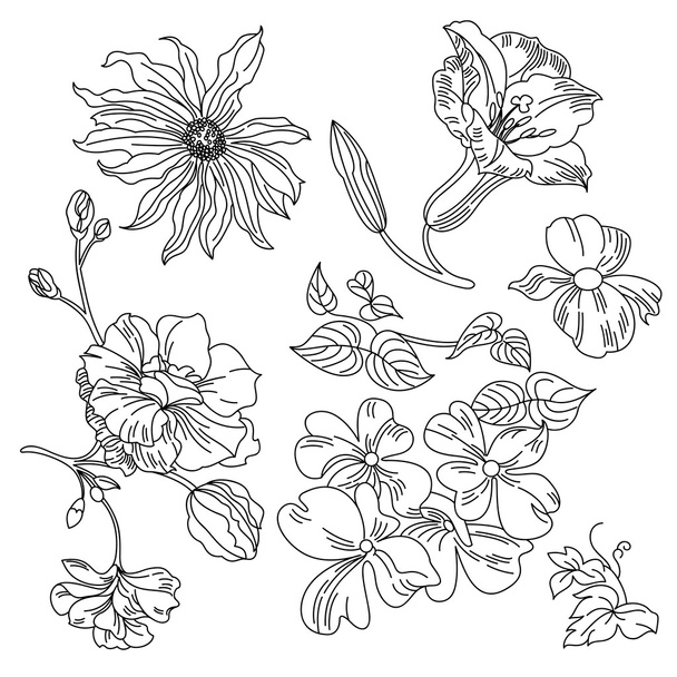 Flowers Collection - Vector, Image