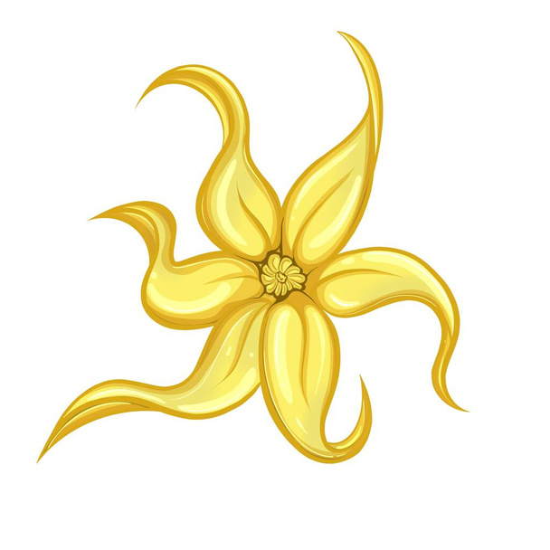 Ylang ylang flower isolated on a white background - Foto, afbeelding