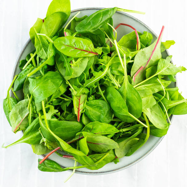 Свежие листья салата из рукколы, шпината и свеклы - Фото, изображение