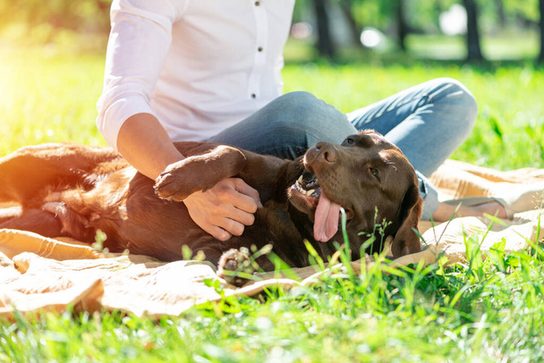 Dog with owner in the park - Foto, Imagem