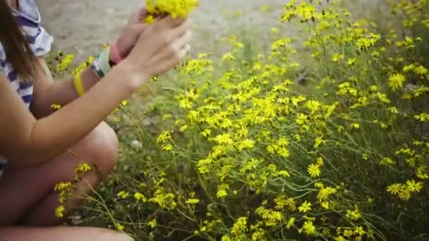 dívka trhá květiny - Záběry, video