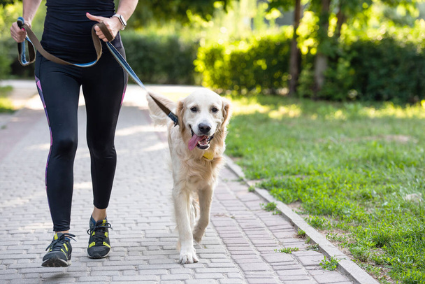 Girl running with golden retriever dog - 写真・画像