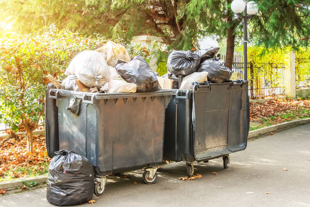 Μεγάλοι μαύροι κάδοι απορριμμάτων σε τροχούς που ξεχειλίζουν από απόβλητα σε πάρκο της πόλης - Φωτογραφία, εικόνα