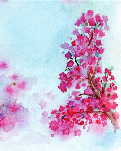 sakura blossom on a background of the sky watercolor drawing, pink japanese cherry blossoms on the branches - Photo, image