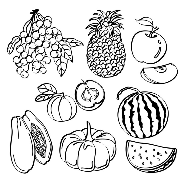 Fruit Set - Vector, Image
