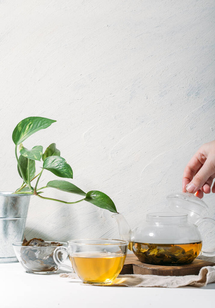 Tee in einem Glas mit einer Tasse grünem Basilikum auf weißem Hintergrund - Foto, Bild