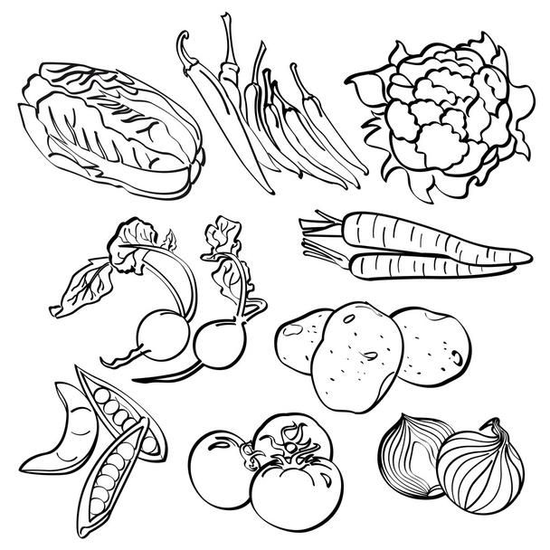 zöldség készlet - Vektor, kép