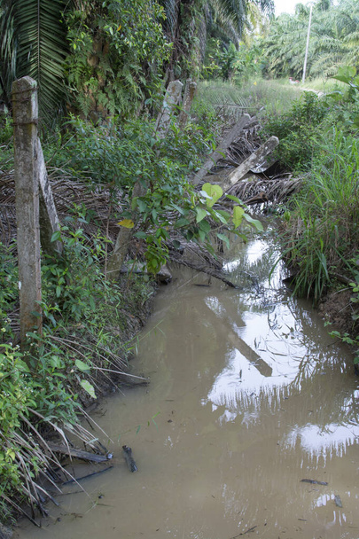 rami di foglie di palma essiccate cadute bloccando il flusso di drenaggio - Foto, immagini