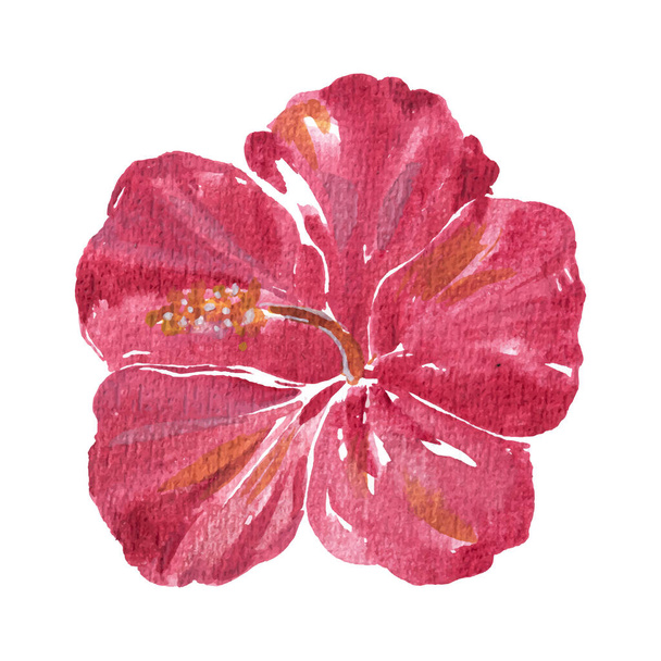 Υδατογραφία του λουλουδιού, Hibiscus και έννοια της φύσης, διάνυσμα eps10. - Διάνυσμα, εικόνα