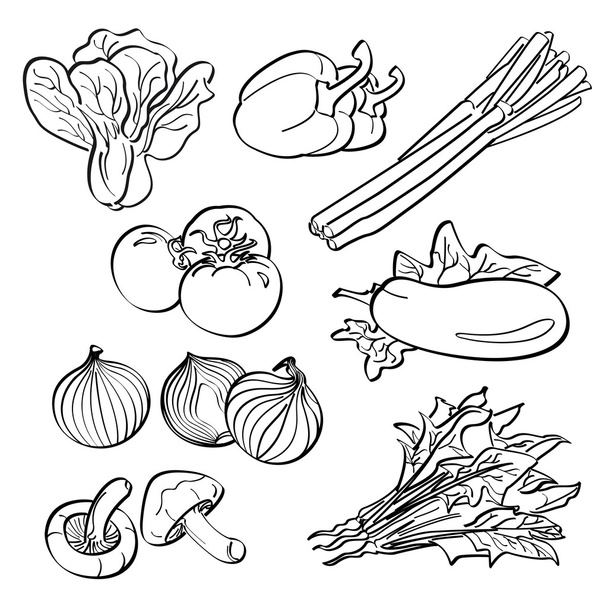 conjunto de verduras
 - Vector, Imagen