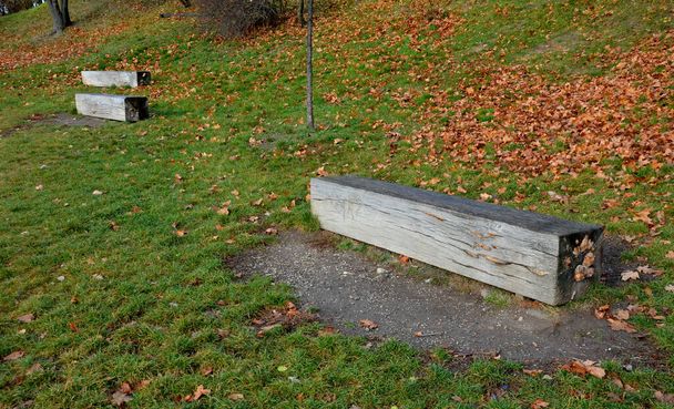 Eine hölzerne Eiche dient als Sitzbank im Garten. Zur besseren Trocknung des Holzes werden im unteren Teil Rillen gefräst, wodurch Spannungen und Rissbildung des Balkens im Park verhindert werden. Seitenansicht - Foto, Bild