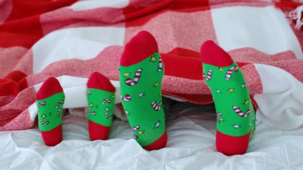 Kinder- en volwassen voeten in felgekleurde groene kerstsokken zijn zichtbaar onder de ruitjes. Familie vakantie in bed tijdens de wintervakantie. Grote en kleine voeten. gelukkig samen - Video