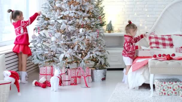 Děti věší vánoční hračky a míčky na umělý vánoční stromek v jasně bílém pokoji. Dárky v prázdninovém balení leží na podlaze pod smrkem. Holky jsou oblečené v červených svetrech. xmas - Záběry, video