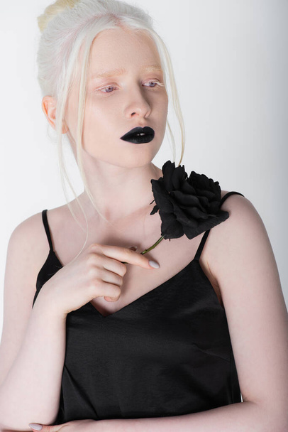 Portrait of albino woman in black dress holding rose isolated on white - 写真・画像