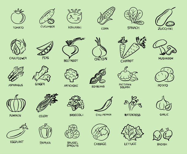 Vegan set of icons with vegetables. A vegan and a vegetarian. Vegetables, mushrooms, grass and roots. Proper nutrition. Vegetable food. Vector isolated image. - Вектор, зображення