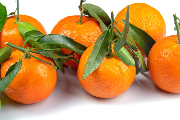 group of clementines with leaves in close-up on a white background - Photo, Image
