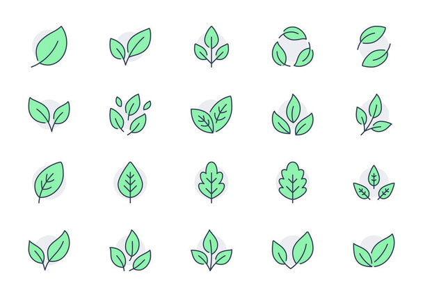 Leaf line icons. Vector illustration include icon - botany, herbal, ecology, bio, organic, vegetarian, eco, fresh, nature outline pictogram for flora. Green Color, Editable Stroke - Vector, Image