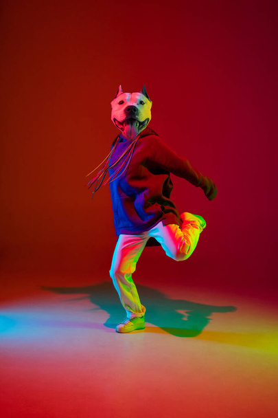 Contemporary collage. One hip hop dancer headed of dogs head dancing isolated over dark red background in neon light. Inspiration, idea, street dance style. - 写真・画像