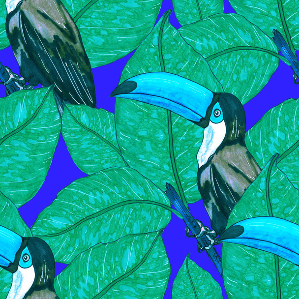 Patrón sin costura de acuarela con tucán. Fondo de pantalla de selva botánica exótica con aves tropicales y hojas. Fondo brillante patrón de verano. - Foto, imagen