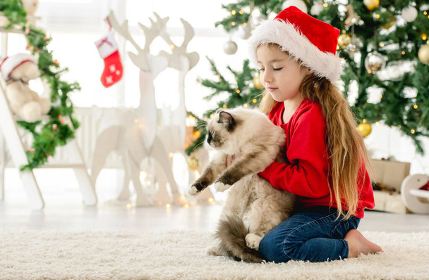 Enfant avec chat poupée au temps de Noël - Photo, image