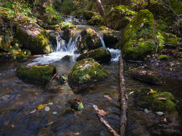 秋の苔むした岩と渓流の風景 - 写真・画像