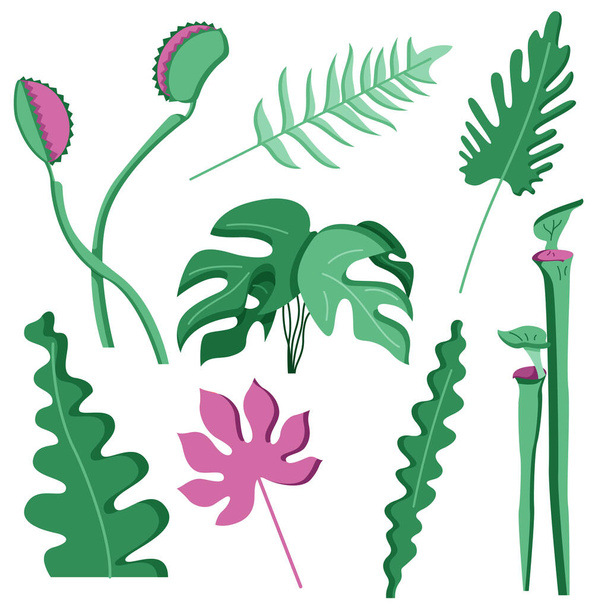 Conjunto de pegatinas de hojas de selva en época mesozoica para decorar el vivero, para niños, ilustración en un estilo plano aislado sobre un blanco. - Vector, imagen