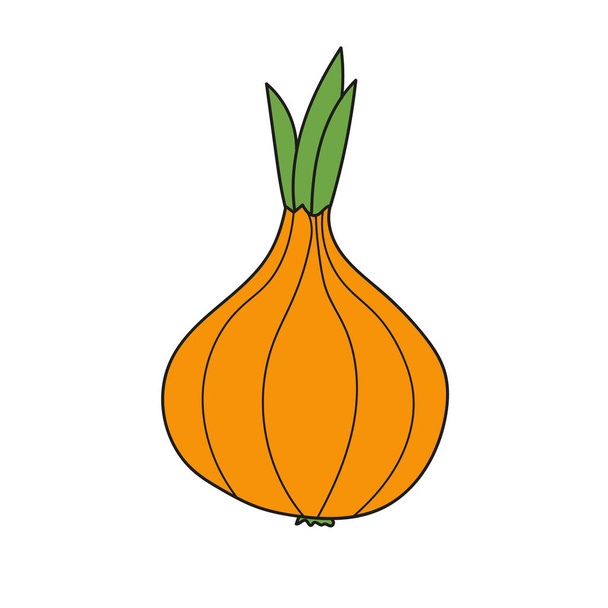 Simple cartoon icon. Whole fresh onion and slice. Vector illustration - Διάνυσμα, εικόνα