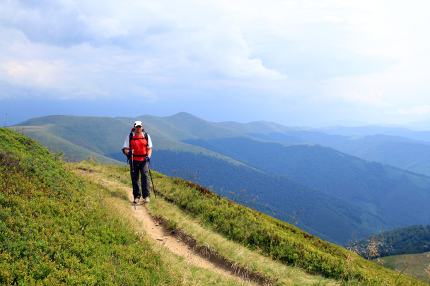 Summer hiking in the mountains. - 写真・画像