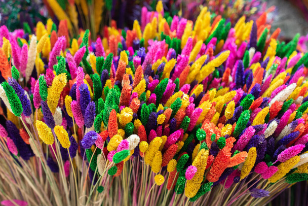 dyed dry colorful  flower for doceration purposes - Photo, Image