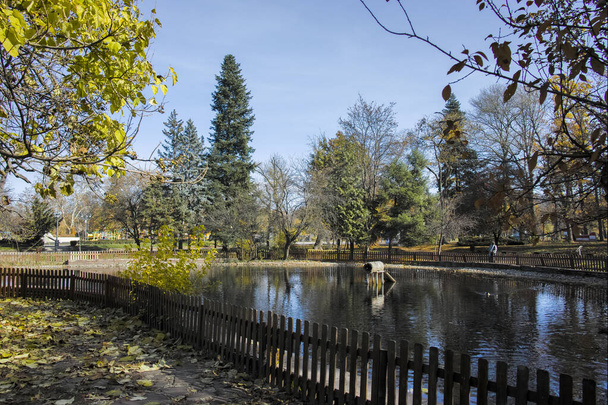 SOFIA, BULGARIA - NOVEMBER 11, 2021:  Autumn Landscape with Trees and gardens at Borisova gradina (Boris Garden) in city of Sofia, Bulgaria - Zdjęcie, obraz