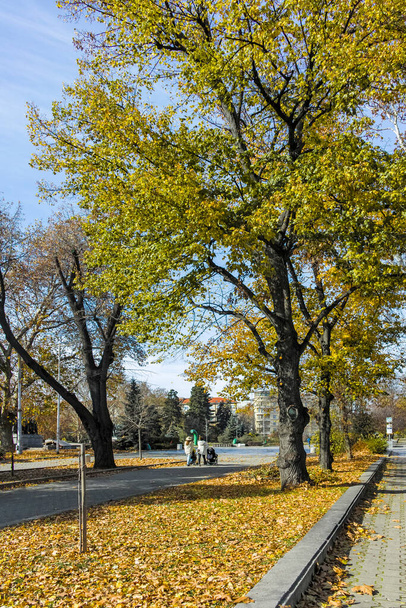SOFIA, BULGARIA - NOVEMBER 11, 2021:  Amazing Autumn view of center of city of Sofia, Bulgaria - Photo, Image