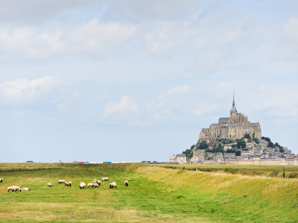 owce grazingnear mont saint-michel Opactwoschapen grazingnear mont saint-michel abdij - Foto, afbeelding