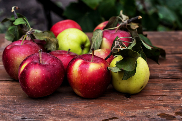 Freshly harvested apples - Foto, imagen