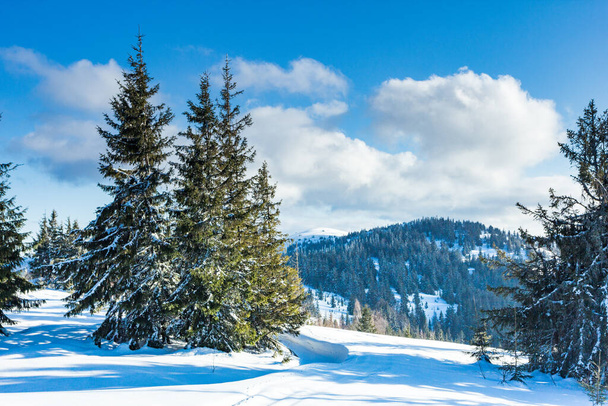 Hermoso paisaje de invierno con árboles cubiertos de nieve. Montañas de invierno. - Foto, imagen