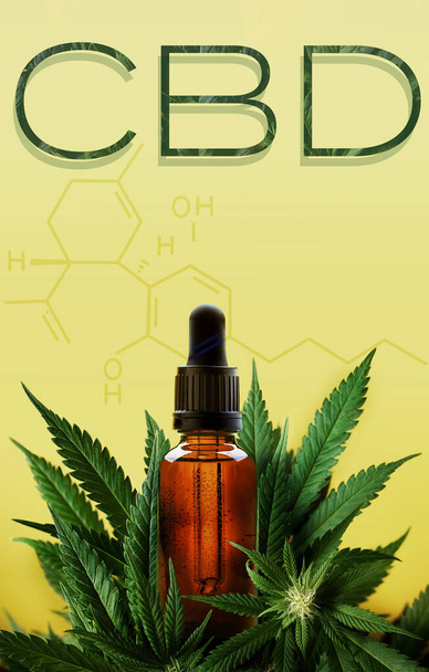 CBD in text and cannabidol formula with bottle and marijuana plant with space for text - Foto, imagen
