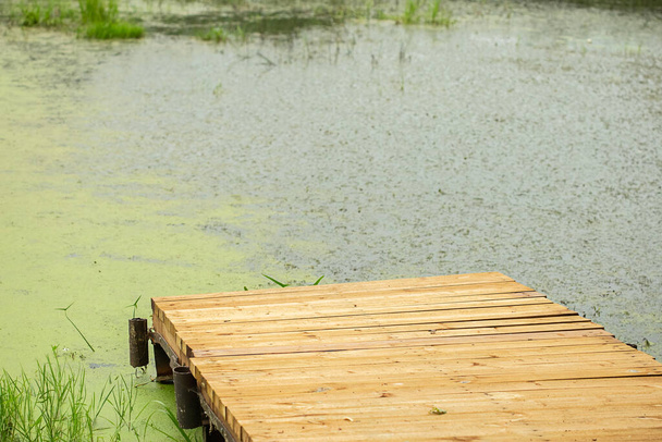 Doca de barco de madeira em um lago florestal e água verde de algas. - Foto, Imagem