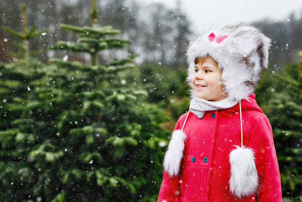 モミの木の切り株にクリスマスツリーを持つ愛らしい小さな幼児の女の子。冬のファッションの服の幸せな子供は、森の中で自分のクリスマスツリーを選択し、切り取り、落ち、ドイツの家族の伝統 - 写真・画像