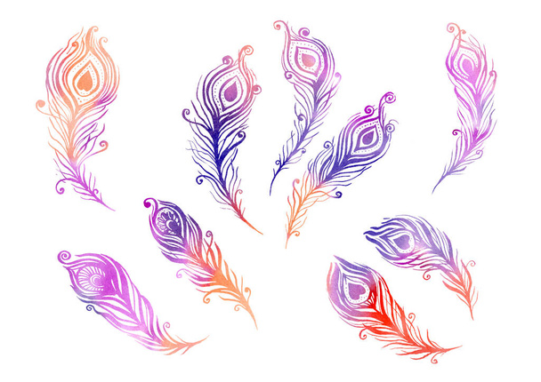 Watercolor Set of birds feather elements in the style of line art on a white background. Purple, red, orange, pink and violet feathers - Fotoğraf, Görsel
