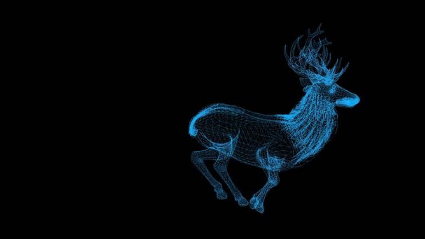 3D ilustrace - drátěný rám jelena na černém pozadí - Fotografie, Obrázek
