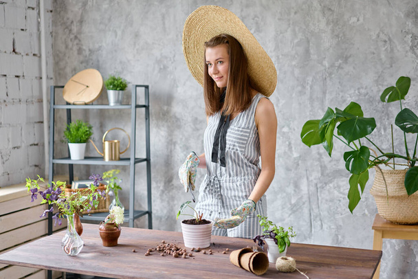 Woman gardener transplanting Alocasia in cement pots on the wooden table. Concept of home garden. Flower and garden shop. - Φωτογραφία, εικόνα