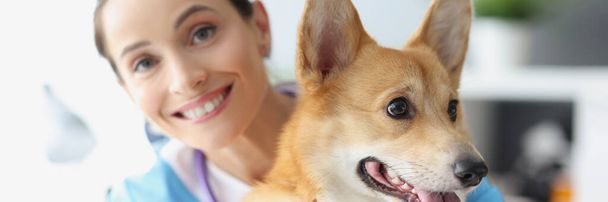 Χαμογελαστή γυναίκα κτηνίατρος κατέχει όμορφο σκυλί στην αγκαλιά - Φωτογραφία, εικόνα