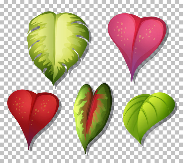 Set of variety tropical plants leaves on transparent background illustration - Vektör, Görsel