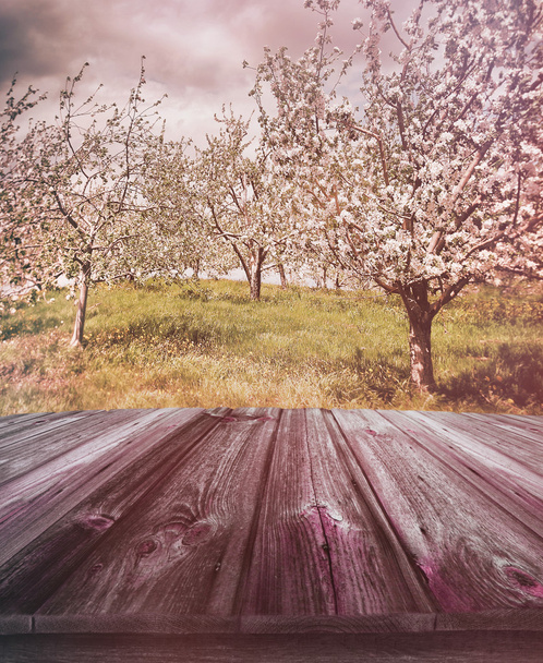 Holzplanken mit Apfelgarten im Hintergrund - Foto, Bild