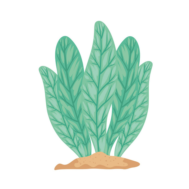 рослина водорості зелений
 - Вектор, зображення