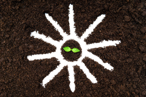 Baby plant inside a sun symbol drawn on the soil. Sun as the main source of energy. - Fotoğraf, Görsel