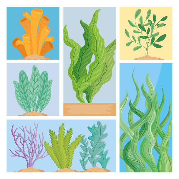 scene di natura alghe marine - Vettoriali, immagini