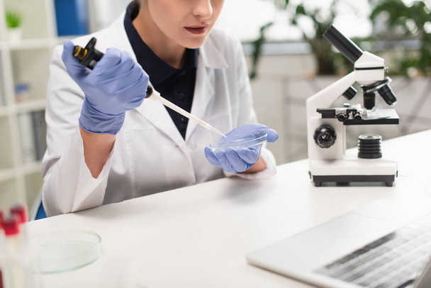 Cropped view of scientist in white coat holding petri dish and electronic pipette in lab  - Photo, Image